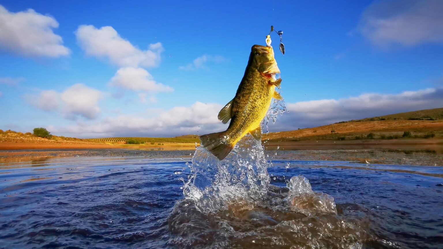 Temperature and Fish Movement - How to Fish in Hot or Cold Weather ...