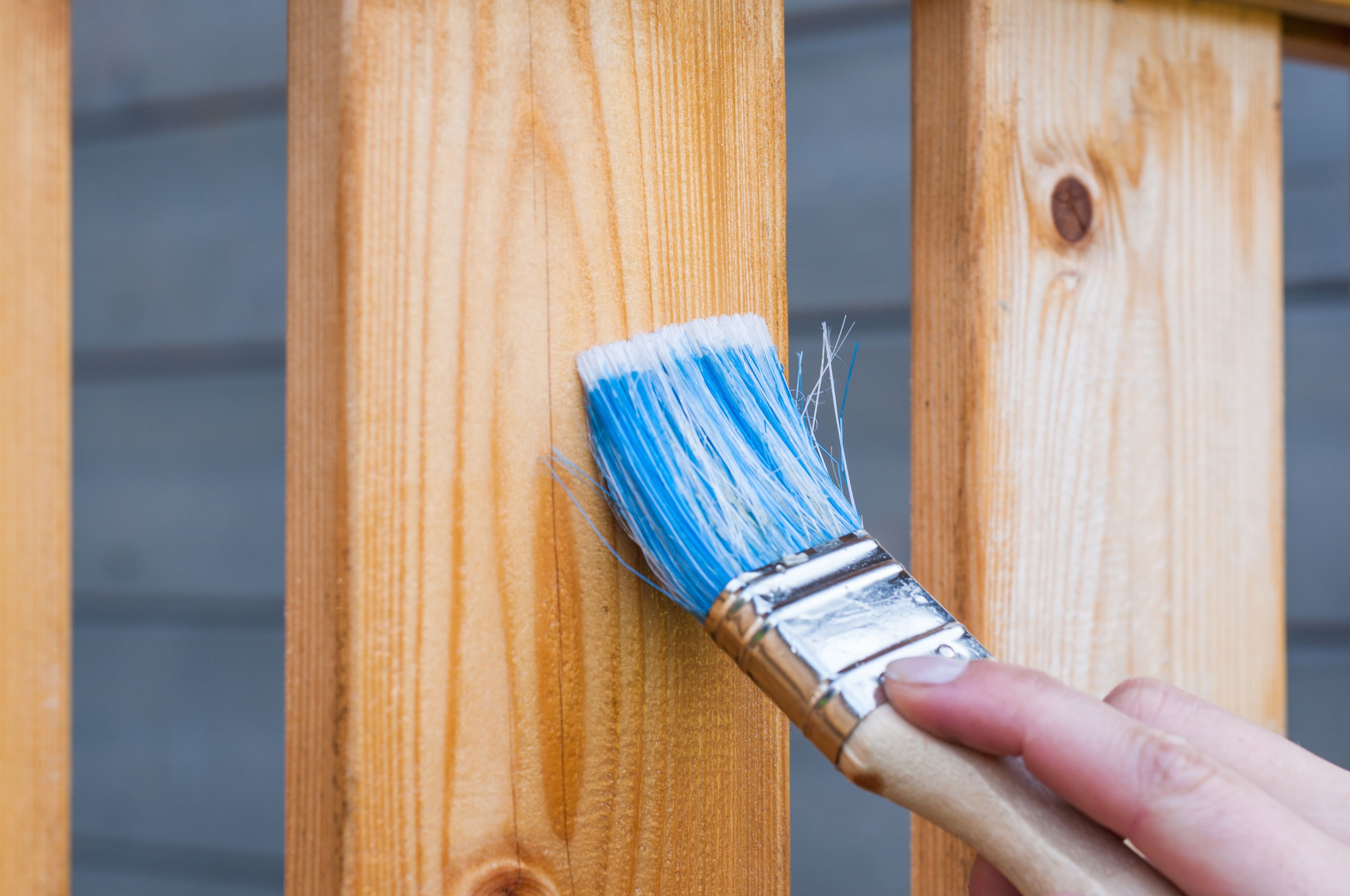 A hand painting a wooden fence plank with a blue paintbrush outdoors